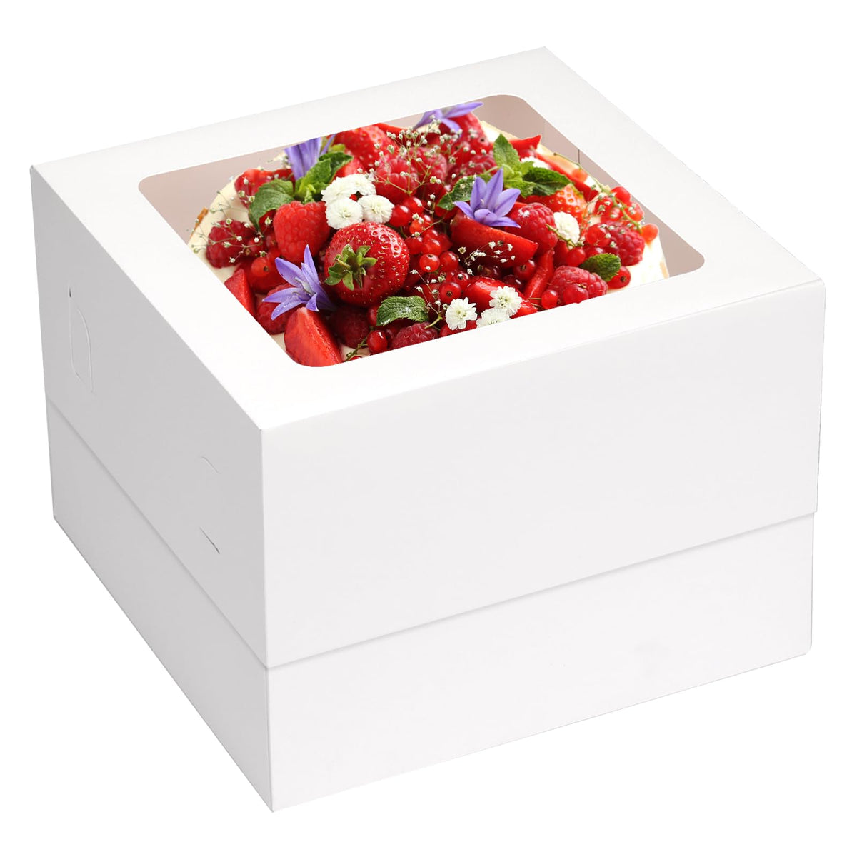 Paper Box,10pcs Premium White Cake Boxes 12x12x8 Inches with Window | Ideal for Cakes