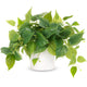 Artificial Flora,Artificial Pothos Plant in White Ceramic Pot - 12" Fake Hanging Vine for Home & Office Decor