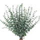 Artificial Flora,24 Pcs Artificial Eucalyptus Branches - Real Touch Greenery for Spring & Wedding Decorations
