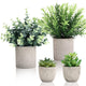 Artificial Flora,4 Piece Set of Mini Artificial Potted Plants - Eucalyptus