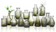 Glass Vase,["14-Piece Graduated Green Glass Vase Set - Vintage Bud Vases for Rustic Centerpieces"