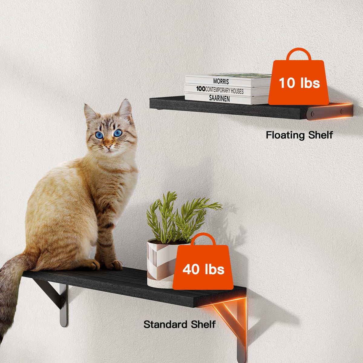 SUPERLELE 6 Pcs 3 Sizes Wooden Wall Mounted Shelves