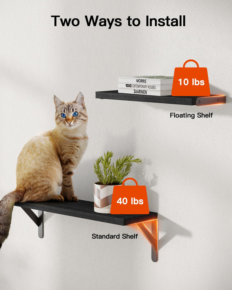 SUPERLELE 6 Pcs 3 Sizes Wooden Wall Mounted Shelves